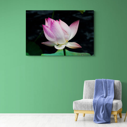 Tablou Canvas - Flori Vibrante 207