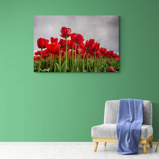 Tablou Canvas - Eleganta Florilor 199