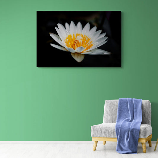 Tablou Canvas - Flori 192