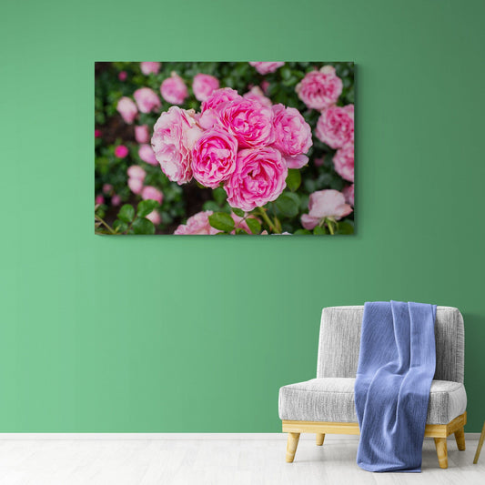 Tablou Canvas - Flori 186