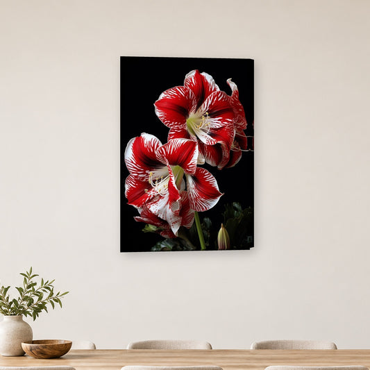 Tablou decorativ - Amaryllis dungat rosu pe perete, in camera - Zibo.ro