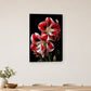 Tablou decorativ - Amaryllis dungat rosu pe perete, in camera - Zibo.ro