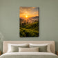 Tablou decorativ - Rasarit peste Plantatie pe perete, in camera - Zibo.ro