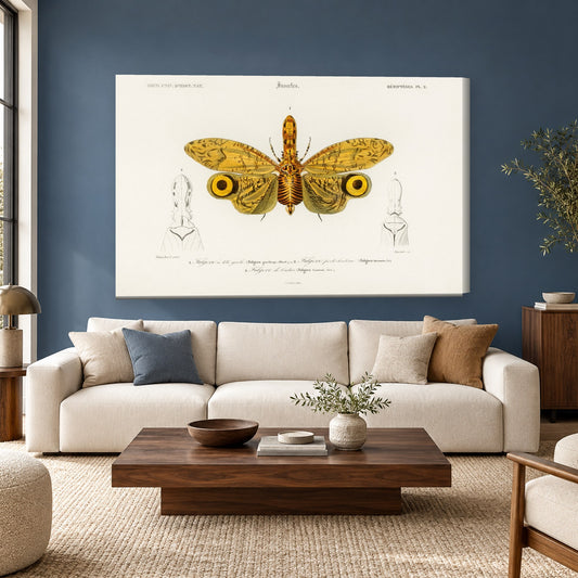 Tablou decorativ - Fluture-luna auriu (ilustratie vintage) pe perete, in camera - Zibo.ro