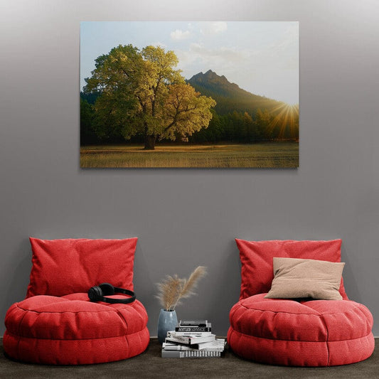 Tablou Canvas - Copac in Zare