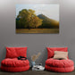 Tablou Canvas - Copac in Zare