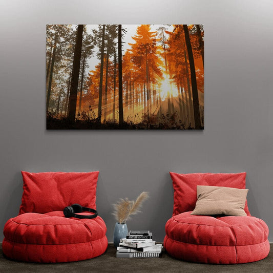 Tablou Canvas - Soare-ntre copaci