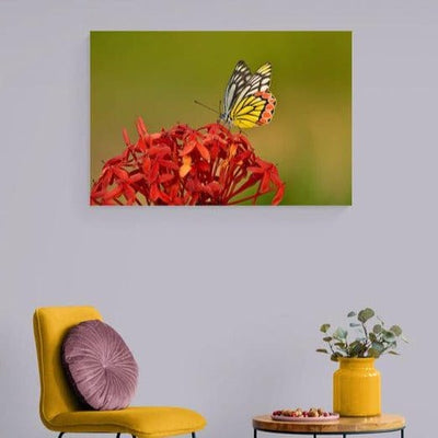 Tablou Canvas - Alt fluture superb