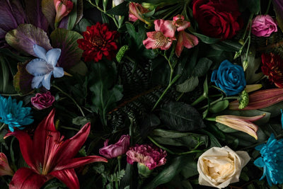 Tablou decorativ - Armonie Florala