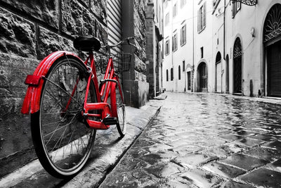 Tablou decorativ - Bicicleta Rosie Retro
