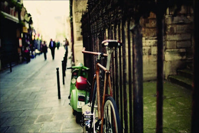Tablou decorativ - Bicicleta Vintage Eleganta