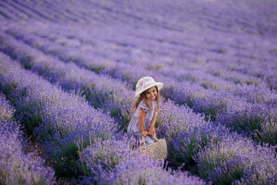 Tablou decorativ - Camp cu Lavanda Din Franta