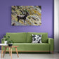 Tablou Canvas - Capra neagra - Cameradevis.ro