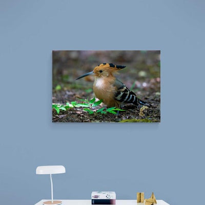 Tablou canvas - Cunoasteti denumirea?