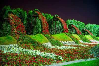 Tablou decorativ - Dubai Miracle Garden
