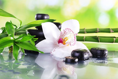 Tablou decorativ - Feng Shui - flori, bambus si pietricele