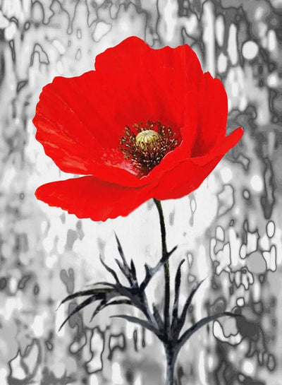 Tablou decorativ - Floare de Mac