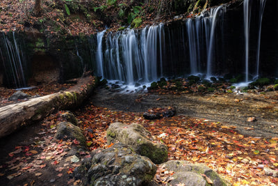 Tablou decorativ - Cascada lată de toamnă
