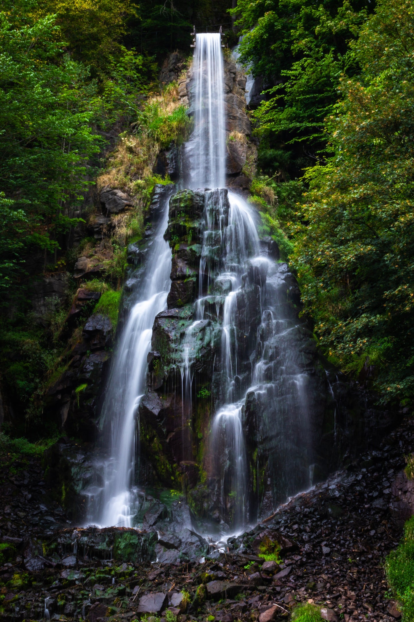Tablou decorativ - Cascada din pădure