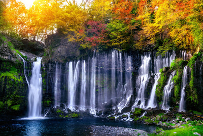 Tablou decorativ - Cascade de toamnă aurie