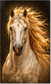 Tablou decorativ Calul cu Coama Aurie