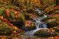 Tablou decorativ - Cascada de Muschi