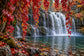 Tablou decorativ - Cascada sub Frunze