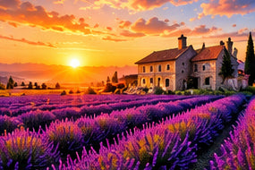 Tablou decorativ - Conacul din Lavanda