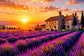 Tablou decorativ - Conacul din Lavanda