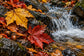 Tablou decorativ - Frunze pe Cascada
