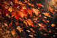 Tablou decorativ - Furtuna de Frunze