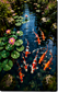 Tablou decorativ Iazul cu Crapi Koi