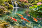 Tablou decorativ - Iazul Koi cu Cascada