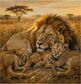 Tablou decorativ Odihna Familiei, familie de lei odihnindu-se in savana
