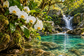 Tablou decorativ - Orhidee Albe la Cascada