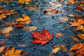 Tablou decorativ - Ploaie pe Lac