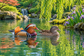 Tablou decorativ - Ratele Mandarin in Gradina