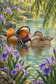 Tablou decorativ - Ratele Mandarin si Irisii