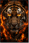 Tablou decorativ Tigrul cu Ochi de Foc