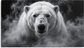Tablou decorativ Ursul Polar in Fum