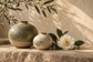 Tablou decorativ - Vase de Jad si Camelie Alba
