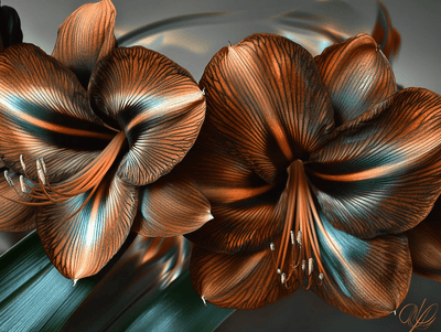 Tablou decorativ - Duo Amaryllis Elegant