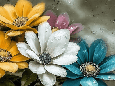 Tablou decorativ - Buchet Flori cu Picaturi de Ploaie