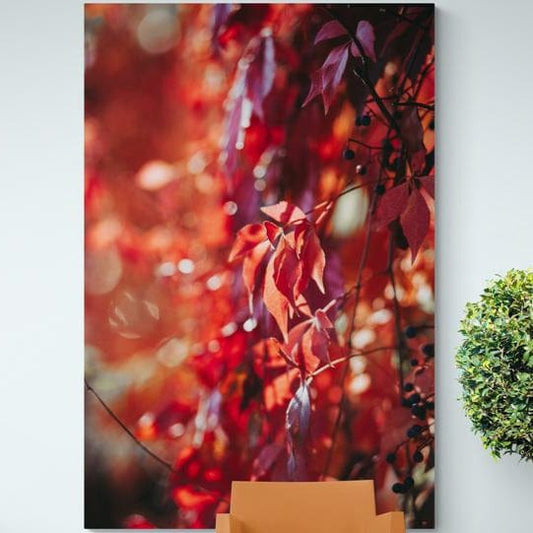 Tablou Canvas - Frunze rosii - Cameradevis.ro Cameradevis.ro