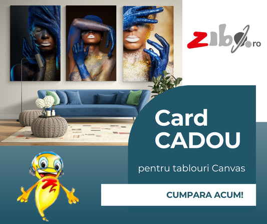 Card CADOU pentru tablouri - Zibo.ro