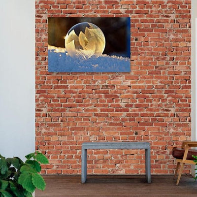 Tablou canvas - Fulg de nea