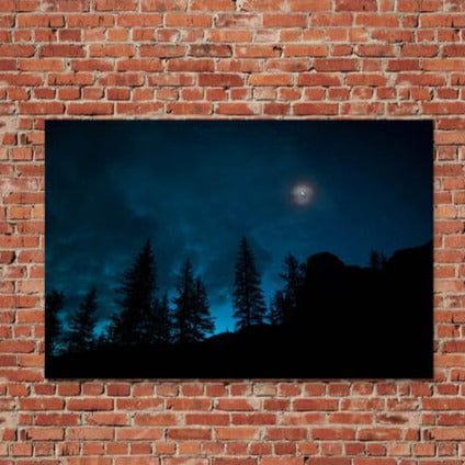 Tablou canvas - Lunatica - Cameradevis.ro Cameradevis.ro