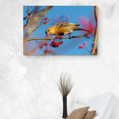 Tablou canvas - Pasarica ciresica