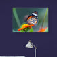 Tablou canvas - Un fluture superb - Cameradevis.ro