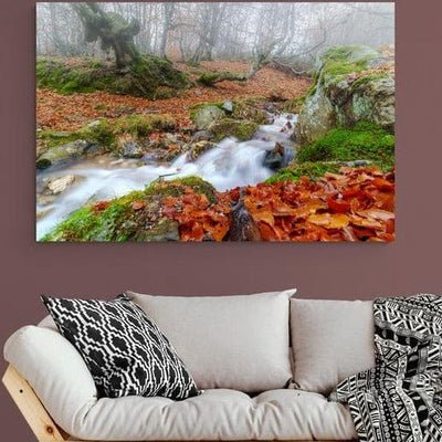 Tablou canvas -Izvor minunat